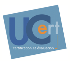 Online examinations to validate and recognize the Geoconcept users' GIS skills